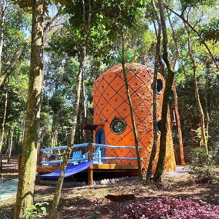 Casa Abacaxi, Vila Magica Bueno Brandão Exteriör bild